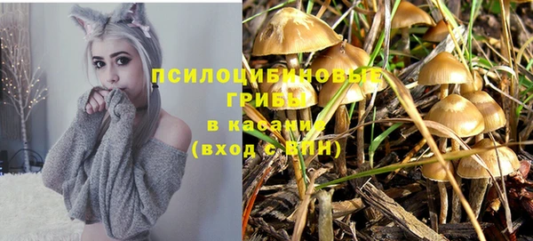 героин Вяземский
