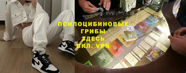 спиды Горняк